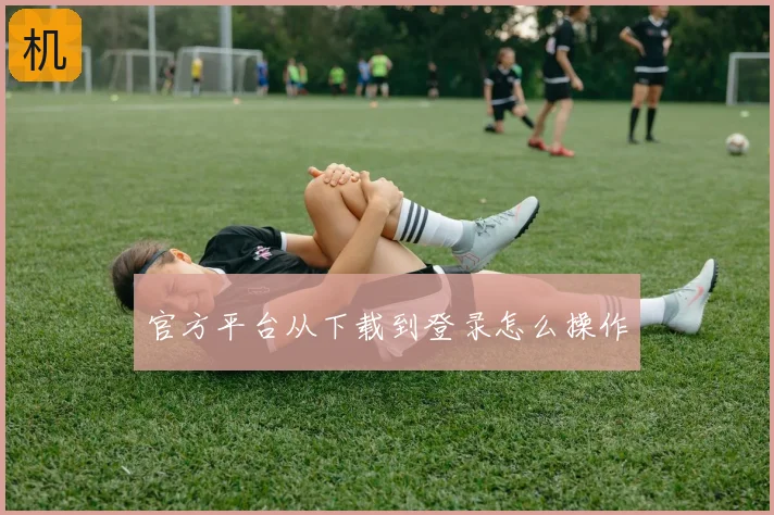 官方平台从下载到登录怎么操作