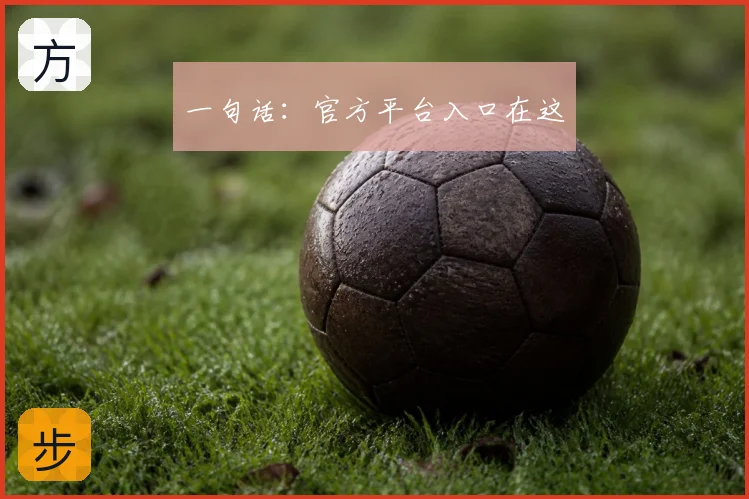 一句话：官方平台入口在这